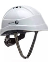 Dromex Hard hat